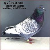 Nie będę tu po raz kolejny opisywał ogromnego wysiłku, wkładu pracy i dziesiątków godzin przepracowanych społecznie przez organizatorów wystawy.