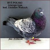 ważnych wydarzeń państwowych, rocznic historycznych, zjazdów, wystaw itd. Rozmówcy przekonali mnie, że stempel okolicznościowy będzie doskonałym środkiem promocji i reklamy naszej wystawy.