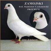 Tadeusz Sikorski, tytuł I v-ce mistrza kol. Marcin Ciernia, a tytuł II v-ce mistrza kol. Robert Turała.
