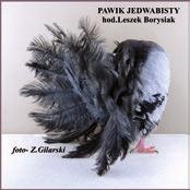 Dużym zainteresowaniem zwiedzających cieszyło się stoisko na którym pan Grzegorz Majewski prezentował kunsztownie wykonane rzeźby gołębi rasowych.