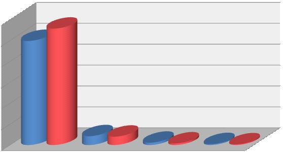 STAN REALIZACJI ZADAŃ CENTRALNEGO BIURA ŚLEDCZEGO KGP W ZAKRESIE ZWALCZANIA PRZESTĘPCZOŚCI ZORGANIZOWANEJ W UJĘCIU STATYSTYCZNYM Od 1 stycznia do 31 grudnia 2010 roku Centralne Biuro Śledcze Komendy