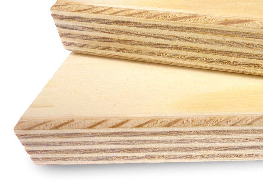 Paged Softwood + Sklejka iglasta z obłogami z forniru sosnowego. Paged Birch Sklejka liściasta z obłogami z forniru brzozowego, olchowego.