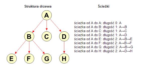 Ciąg węzłów połączonych krawędziami nazwiemy ścieżką (ang. path). Od korzenia do określonego węzła w drzewie wiedzie zawsze dokładnie jedna ścieżka prosta, tzn.