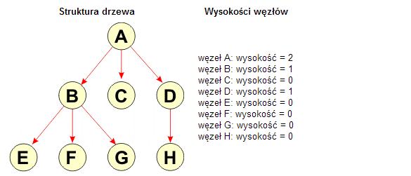 Dla naszego drzewa wysokość jest równa 2. Wysokość węzła (ang.