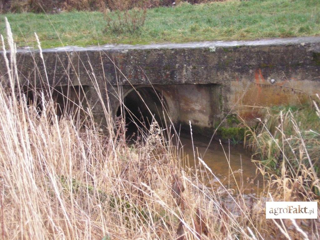 .pl https://www..pl UWAGA! Na wycinkę drzew z rowu potrzebna jest zgoda wójta gminy. Oczywiście, tak jak w każdej ustawie, niekoniecznie musi być marchewka, ale na pewno jest kij!