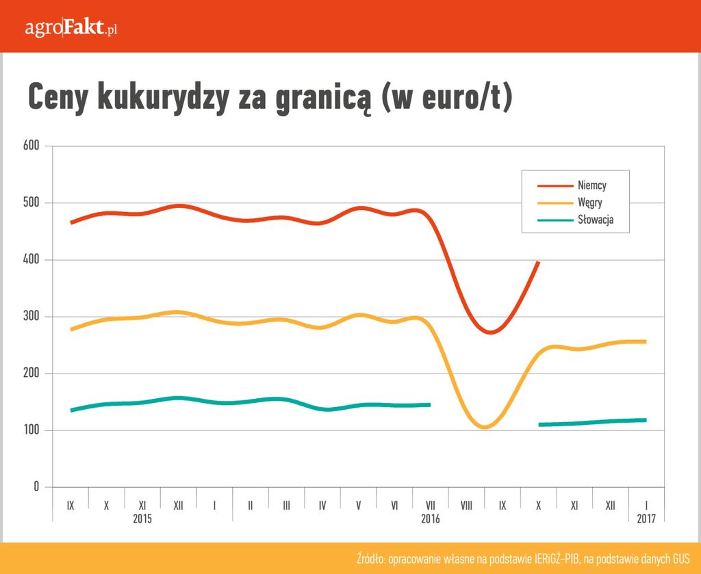 https://www. Ceny kukurydzy za granicą (w euro/t). Jakie są zatem perspektywy, jeśli chodzi o ceny kukurydzy w 2017 r.? Oczekuje się, że ceny ziarna ze zbiorów 2016 r.