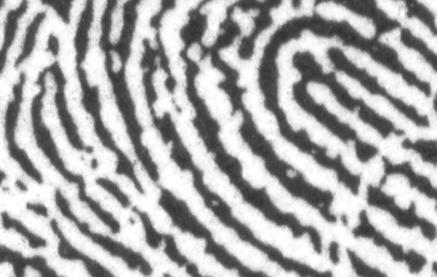 Changes in minutiae images in corresponding locations of standard print and Live Scan Odbitka linii papilarnych wielkiego palca prawej rêki z karty sporz¹dzonej z u yciem poduszki tuszowej oczko