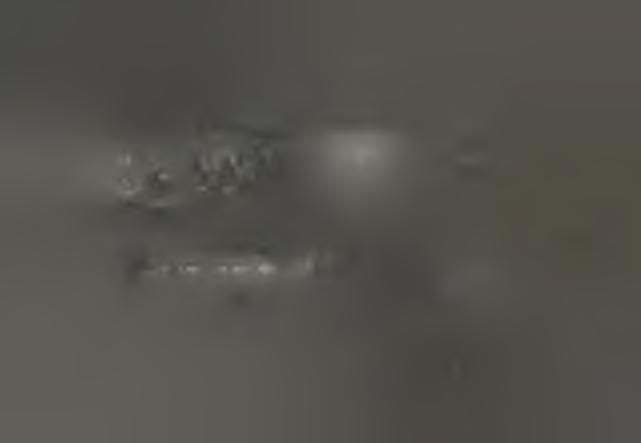 IAPP -