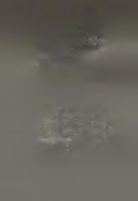 F^uinwicwr З J! SfRLARN'f 5 ^ 1 -S eiashâomk S S Ś fe»imm0u3c» S S S B S m D imtf!