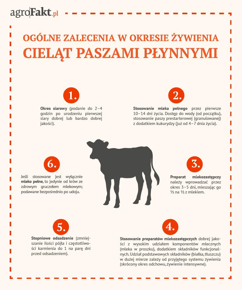 .pl 8 / 10