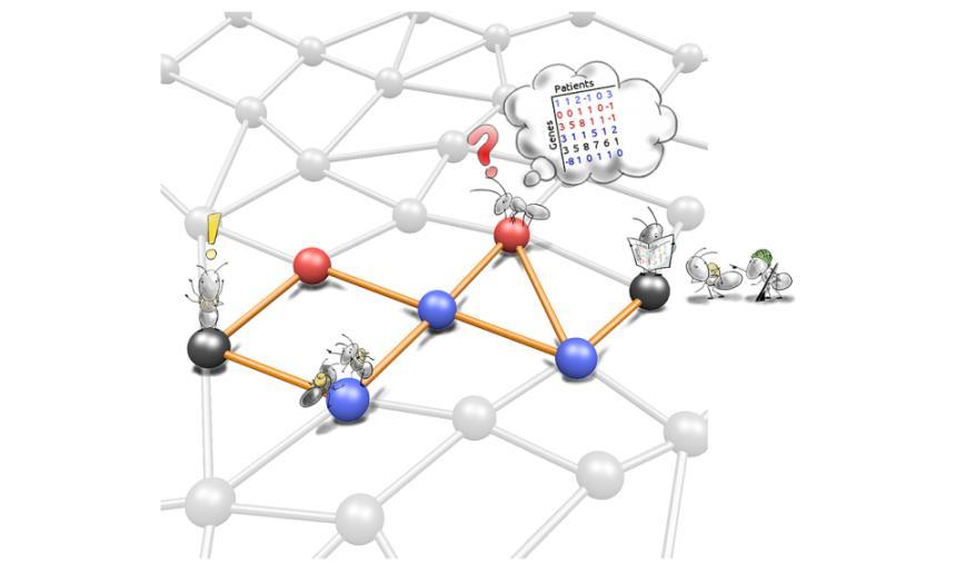 genetyczne, ewolucyjne; rojowe (Particie swarm optimisation), mrówkowe (Ant