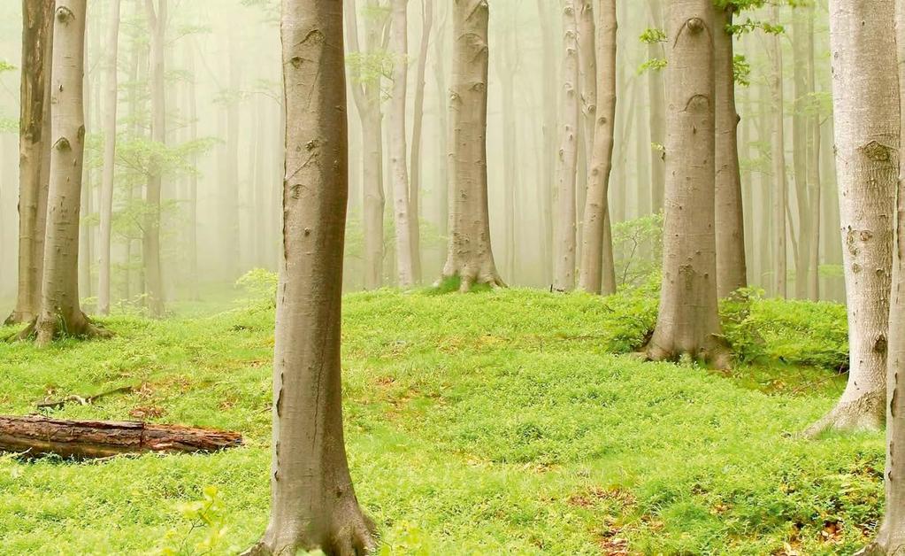 Suma Twoich korzyści: 2-modułowa ewolucja i wielomodułowa rewolucja 2-modułowa