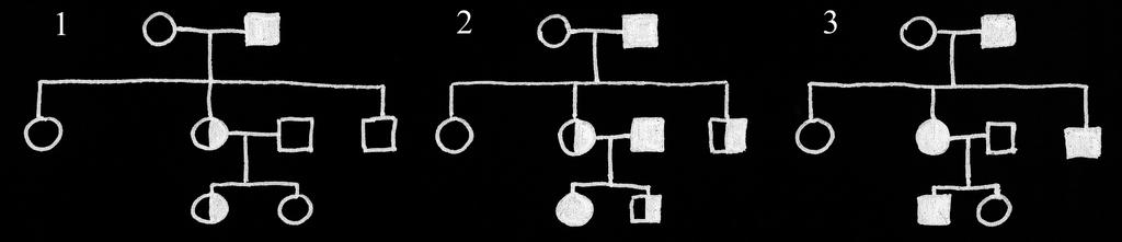 2 Egzamin maturalny z biologii Zadanie 1. (3 punkty) Poni ej przedstawiono drzewa rodowe trzech rodzin (1, 2, 3).
