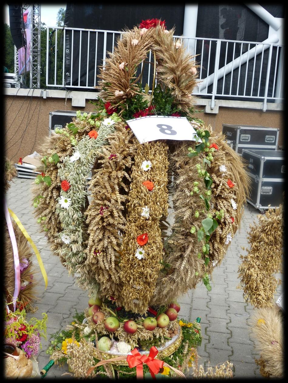 Po uroczystym przywitaniu przez Pana Burmistrza Antoniego Kopcia przybyłych gości, wśród których m.in. była delegacja z partnerskiej gminy Biblis z Niemiec, przystąpiono do dożynkowych obrzędów.