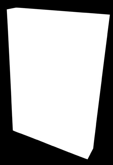 niektóre z przedmiotów w