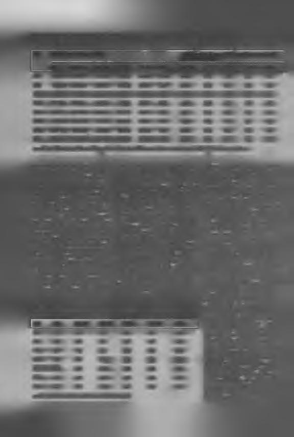 90-94 95-99 100 + 80-84 85-89 90-94 95-99 100 + 1921 168 376 107 499 35 566 17 323 5428 2560 63,8 21,1 10,2 3,2 1,5 1931 169 235 108 614 39 507 13 723 4774 2617 64,1 23,3 8.