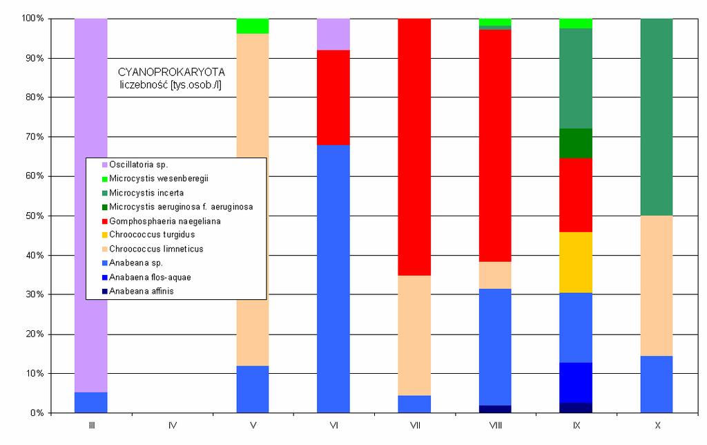 W składzie gatunkowym sinic (Cyanoprokaryota) podczas pierwszych badań na jeziorze Stelchno dominującymi ilościowo oraz wagowo osobnikami były Oscillatoria sp. - powyŝej 95%.