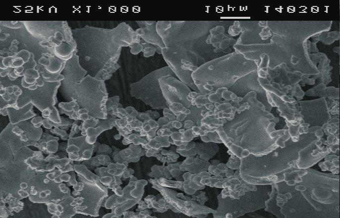 Wydłużenie czasu redukcji z 30 do 120 minut, w temperaturze 900 C doprowadziło natomiast do wzrostu średniej wielkości cząstek z 8,05 do 8,96 µm (czyli o 11,02%).