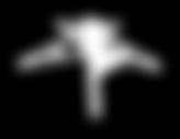 doniczkowych, 0, l