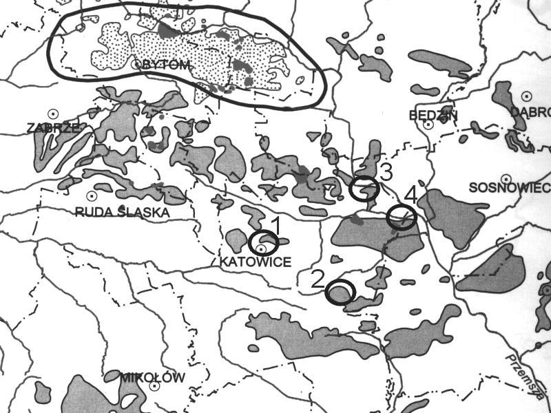 WARSZTATY 2003 z cyklu Zagrożenia naturalne w górnictwie Zarejestrowane w powyższy sposób zbiory danych obejmują wartości mierzonych parametrów dla poszczególnych składowych co 1 minutę w