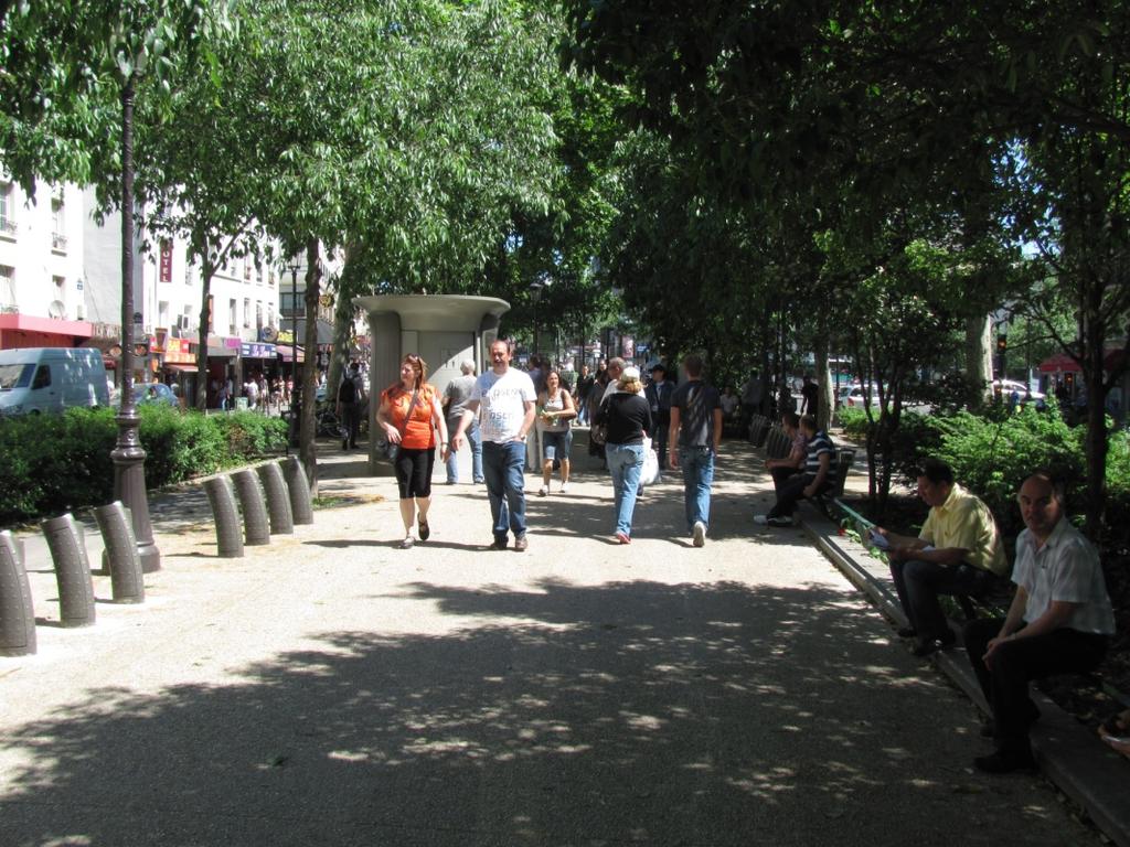 Przykład ulicy z regularnymi podwójnymi szpalerami drzew Kształtowanie przekroju ulicy