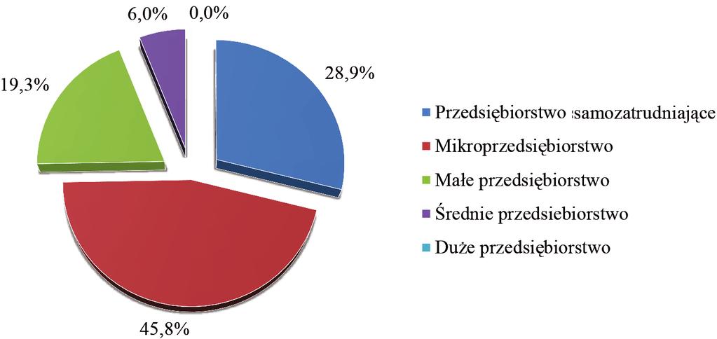 266 Sławomir Zawisza, Paulina Wąsik Rys. 4. Wielkość przedsiębiorstw prowadzonych przez respondentów Źródło: badania własne.