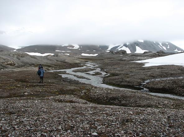 lodowca Olsok (Olsokbreen).