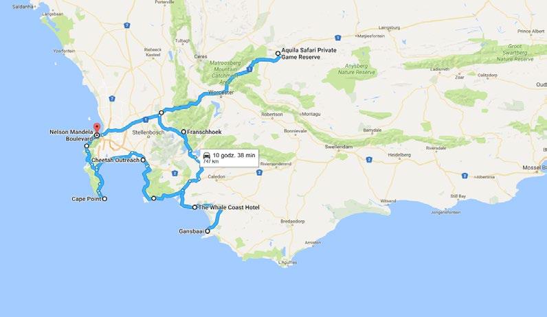 BILETY WSTĘPU: 2x safari w Aquila wizyta w destylarni brandy KWV degustacja win w Franshoek ocean safari Chetach Outreach Cape Point Boulder s Beach Capman s Peak bilety na kolejkę linową na Table