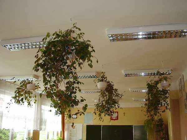 Gimnazjum Nr 2 Remont instalacji