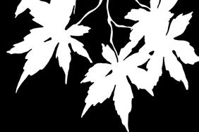 Satynowa farba