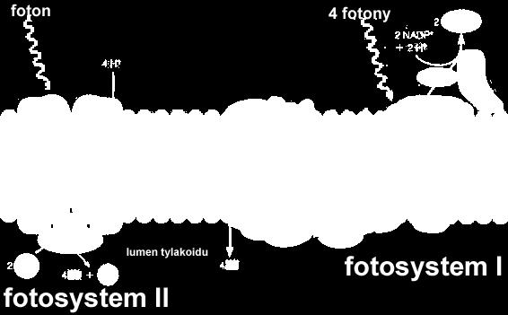 światło wybija elektrony z jonów metali w