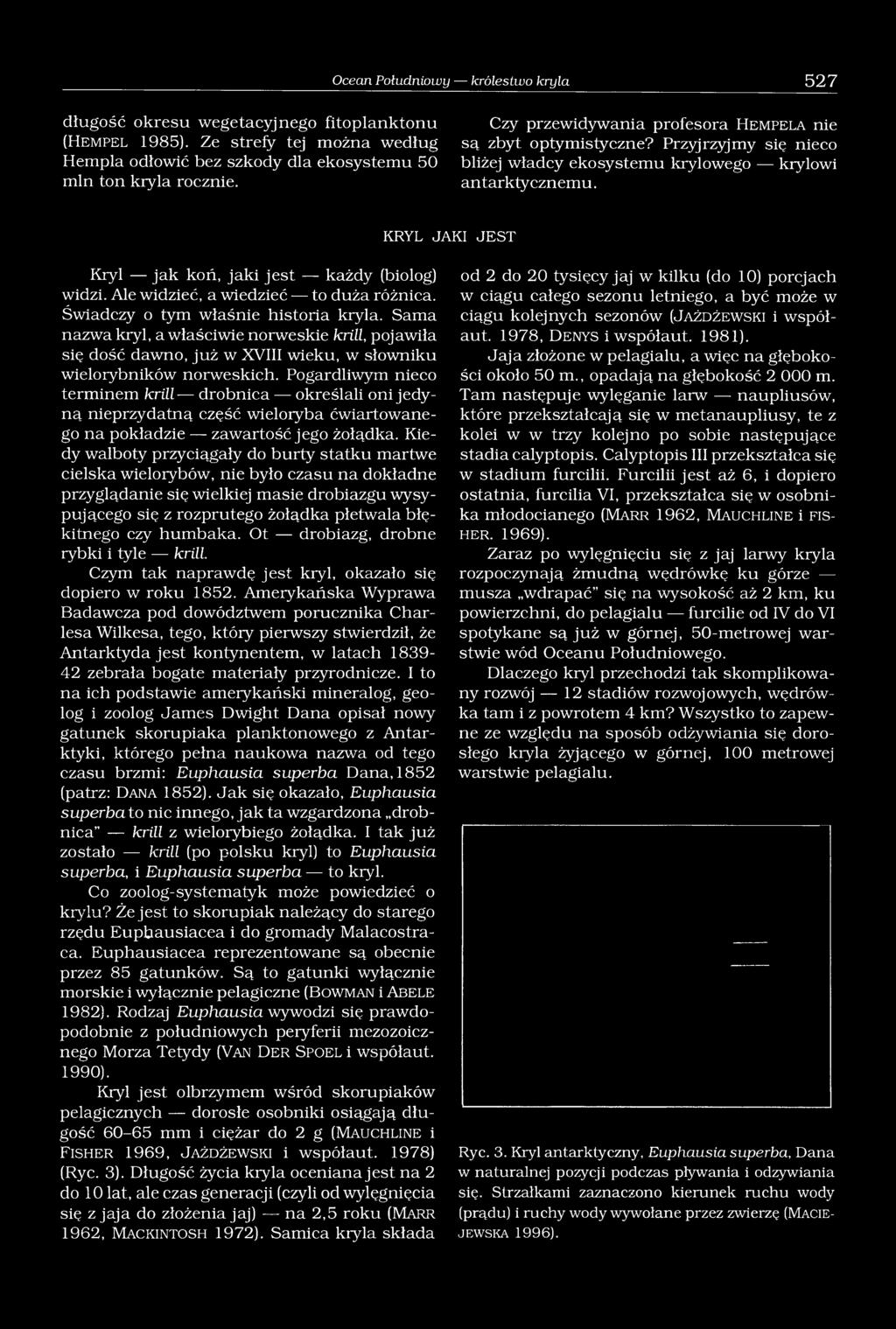 KRYL JAKI JEST Kryl jak koń, jaki jest każdy (biolog) widzi. Ale widzieć, a wiedzieć to duża różnica. Świadczy o tym właśnie historia kryla.