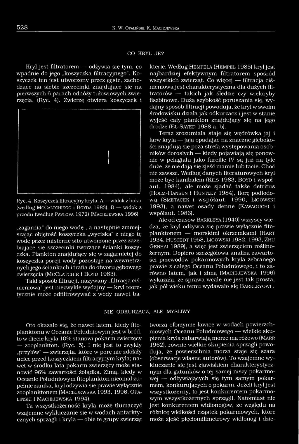 A widok z boku (według M c Ca l t c h ie g o i B o y d a 1983), B widok z przodu (według P a v l o v a 1972) (M a c ie j e w s k a 1996) zagarnia do niego wodę, a następnie zmniejszając objętość