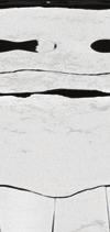 CTCDW granice GLCD granice Lab S CaO MgO Cl SiO2 Al2O3 Fe2O3 P2O5 Rys. 8.