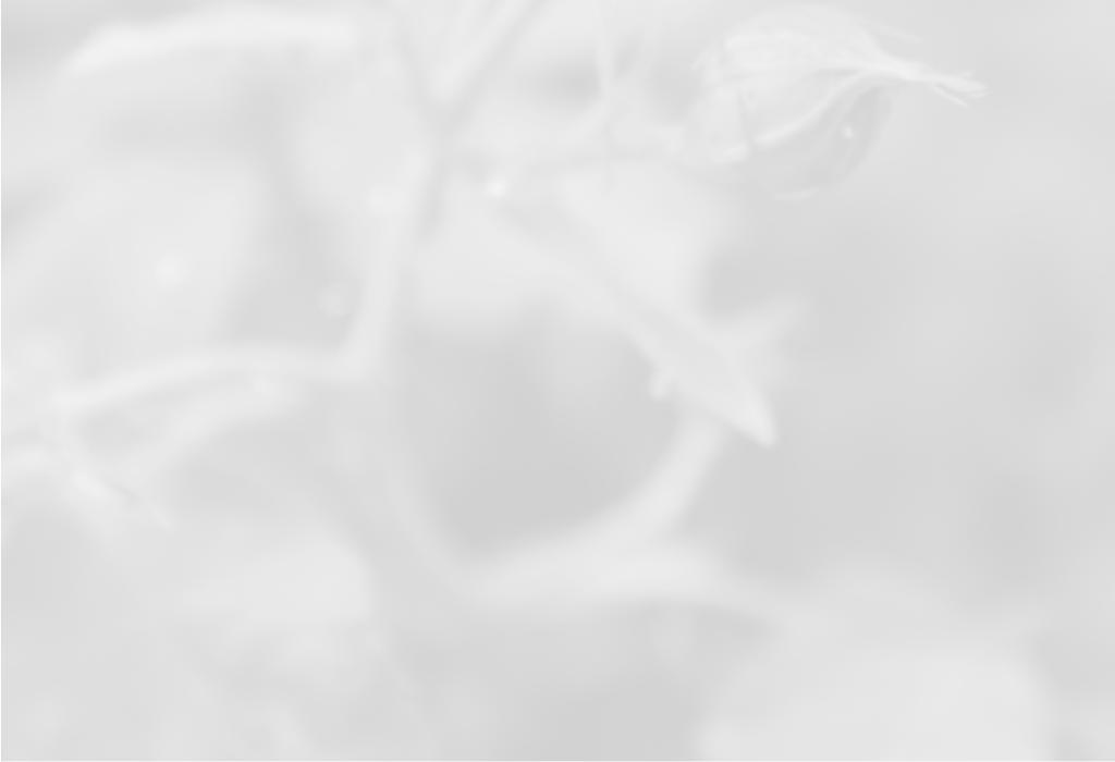 Nowenna w Intencji Naszych Żyjących i Zmarłych Ojców W dniu dzisiejszym rozpoczynamy Nowennę w Intencji Naszych Ojców.