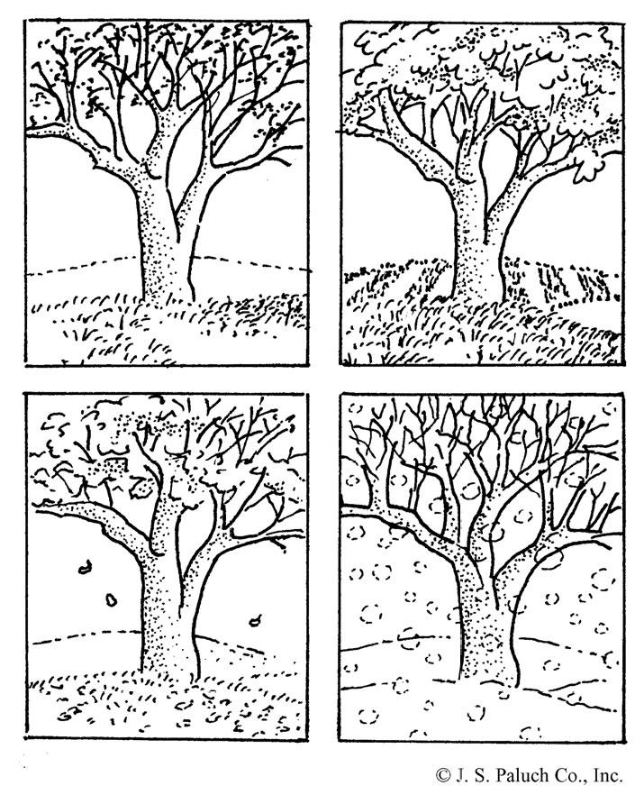 December Page 4 29, 2013 NOVEMBER 13, Page 20167 PARISH CALENDAR KALENDARZ PARAFIALNY Mass of Thanksgiving for the Independence of Poland Msza św.