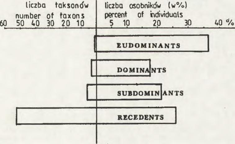 Okazjonalnie poławiano imagines w pobliżu badanych zbiorników. Zebrano 3228 osobników (w tym 37 imagines).