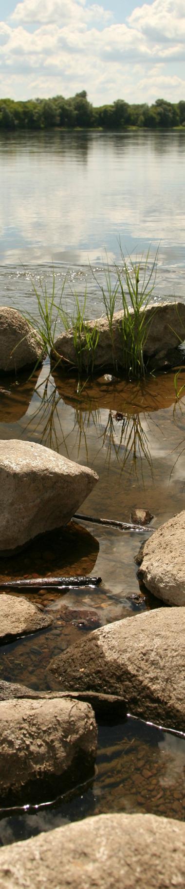 Stowarzyszenie Geodetów Polskich w Bydgoszczy Wielce Szanowna Pani Elżbieta Biel Prezes Stowarzyszenia Geodetów Polskich w Krakowie Geodeci Krajny, Borów Tucholskich, Pomorza, Ziemi Chełmińskiej,