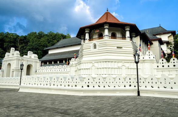 Głównym celem dla pielgrzymów jest drzewo Sri Maha Bodhi, mające dla buddystów znaczenie religijne, gdyż zostało wyhodowane ze szczepu tego figowca, pod którym Budda doznał oświecenia.