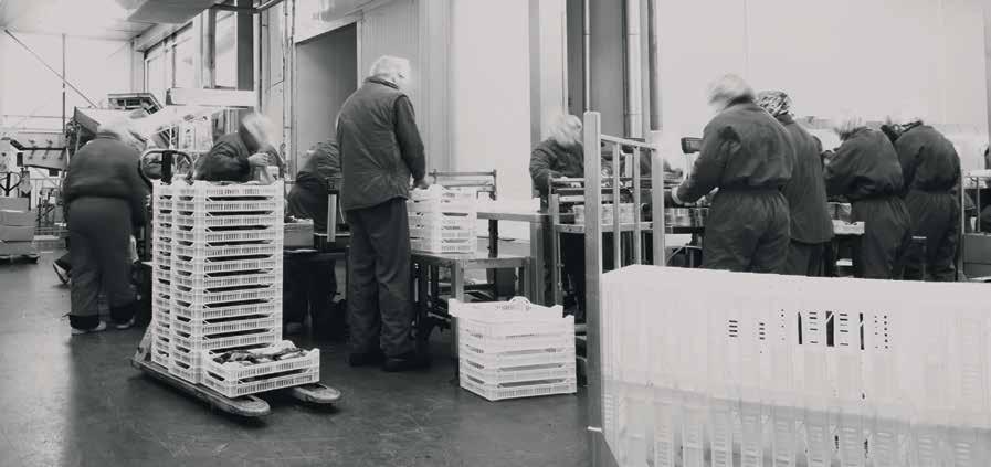 Wsparcie logistyki magazynowej Systemy sieciowe Znakowanie produktów KORZYŚCI Z WDROŻENIA: Szybsze przyjmowanie, znakowanie i wydawanie towarów Mniej pracochłonna obsługa magazynu Kontrola łańcucha