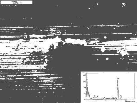6. Obraz skaningowy i widmo energetyczne cząstki; próbki p o H: 920 C+O: 550 C po pełnym cyklu ścierania, pow. 1500x Fig.6. Surface and X-ray spectra of the sample after Q 920 C + T 550 C and after
