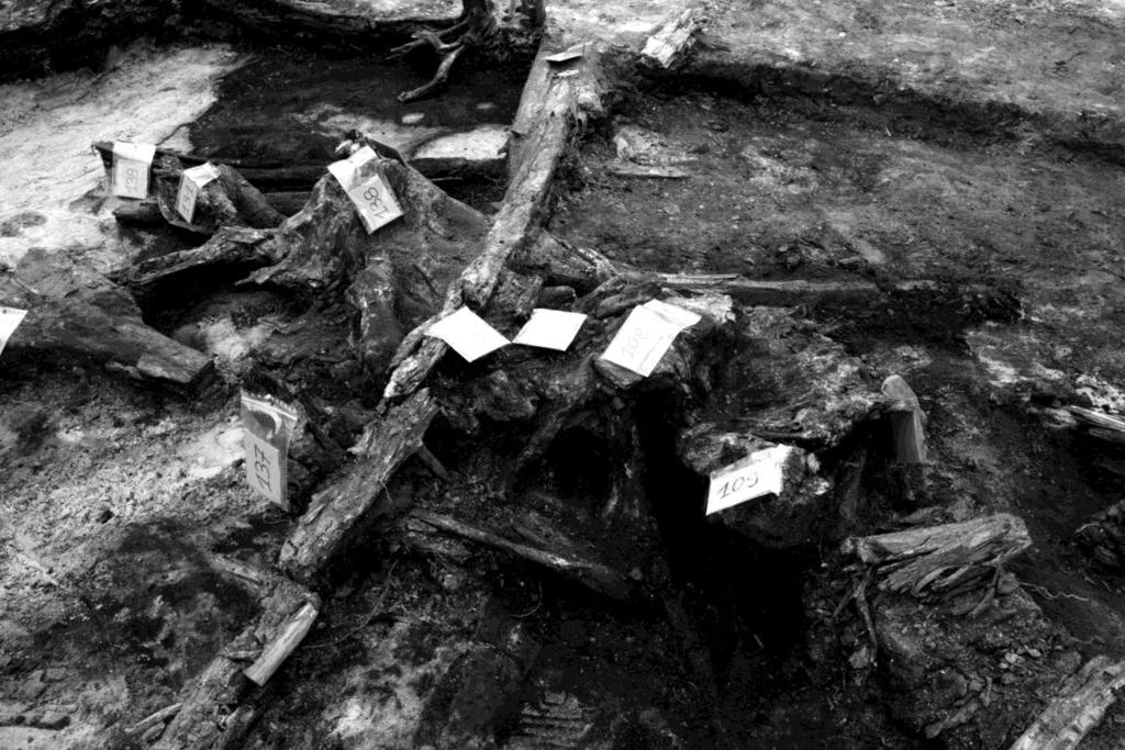 Litologiczna charakterystyka osadów w stanowisku Koźmin Las i ich interpretacja paleogeograficzna Rys. 4.
