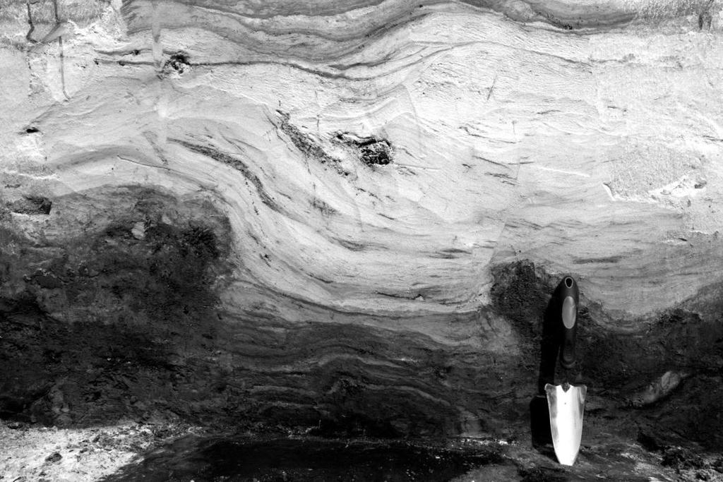 Litologiczna charakterystyka osadów w stanowisku Koźmin Las i ich interpretacja paleogeograficzna Przejście osadów subogniwa b1 w nadległe osady ogniwa górnego ( c ) ma zróżnicowany charakter