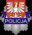5) rozpowszechnianie, 6) wystawianie, 7) wyświetlanie, 8) udzielanie licencji na wykorzystanie, 9) rozpowszechnianie w Internecie, 10) publiczne udostępnianie w taki sposób, aby każdy mógł mieć do