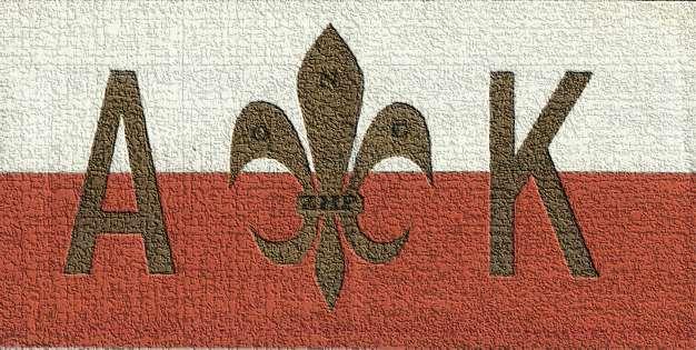SZARYCH SZEREGÓW W