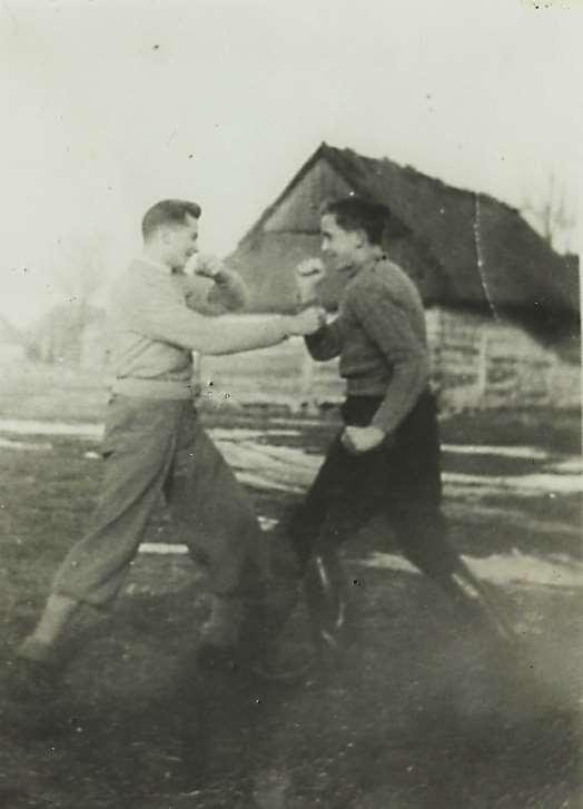 PHM.JANUSZ
