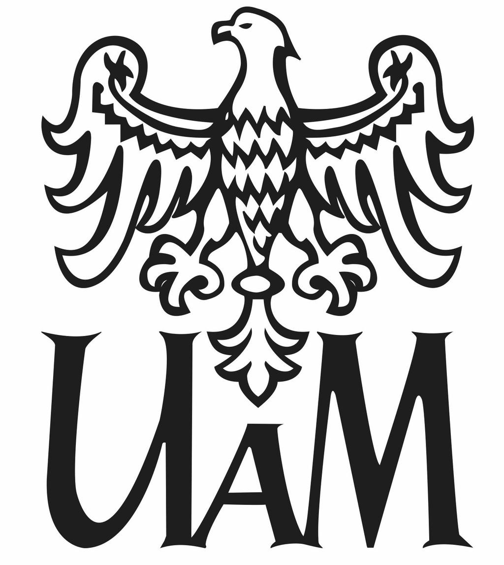 Testy Różnych Interpretacji Kwantyfikatorów Ogólnego i Egzystencjalnego (RIKO i RIKE) raport z konstrukcji narzędzi Raport Badawczy numer: 7(7)/2016; opublikowany: 2