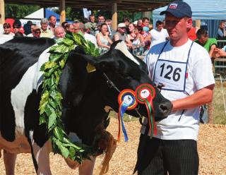 10 LIPIEC 2010 ROLNICY Z GMINY LUBICZ NA TARGACH AGRO-TECH Przemysłowych AGRO-TECH w Minikowie. Była to 33 edycja targów, które są największą wystawą rolniczą w północno-zachodniej Polsce.
