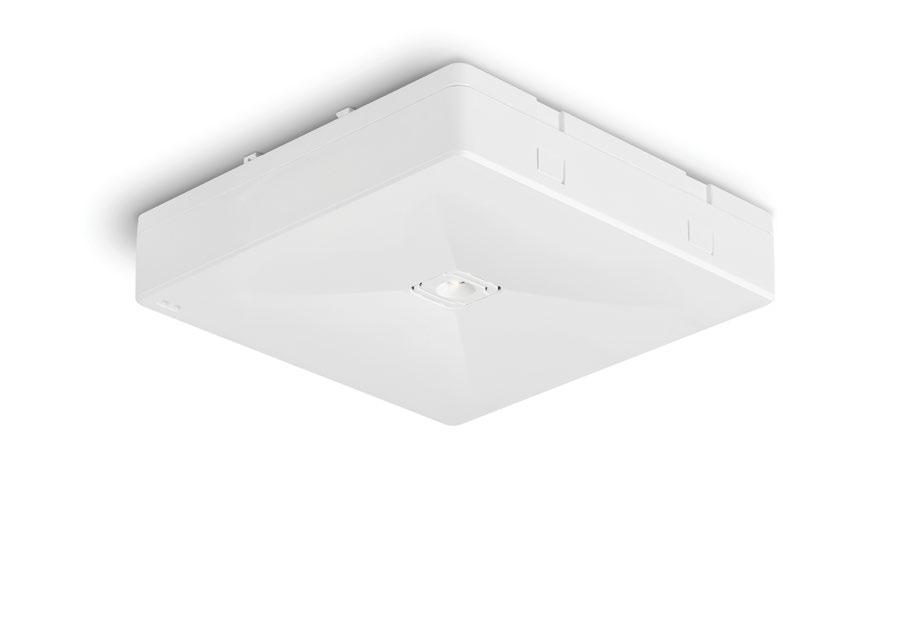 ONTEC R M2 Oprawa oświetlenia awaryjnego, montowana do sufitttu natynkowa (opcja montażu wpuszczanego) oświetlenie antypaniczne Ceiling-mounted (recessed mounting option) emergency ligting fitting