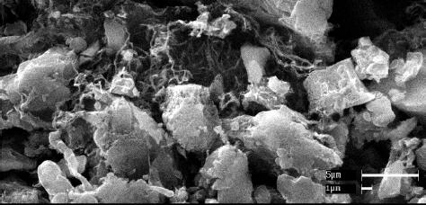 NANOSTRUKTURALNE MATERIA Y WYBUCHOWE 5 ulega³y w tych warunkach gwa³townemu spaleniu z silnym efektem optycznym i dÿwiêkowym. Rysunek 5. Zdjêcie SEM próbki mieszaniny krystalitów pentrytu (wymiary ok.